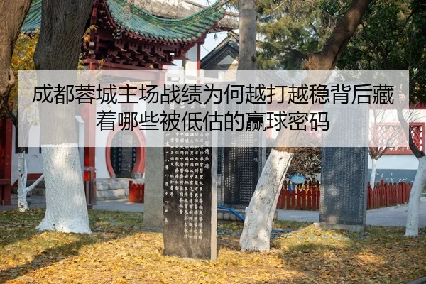 cheng-du-rong-cheng-zhu-chang-zhan-ji-wei-he-yue-da-yue-wen-bei-hou-cang-zhe-na-xie-bei-di-gu-de-ying-qiu-mi-ma-3-352.jpg